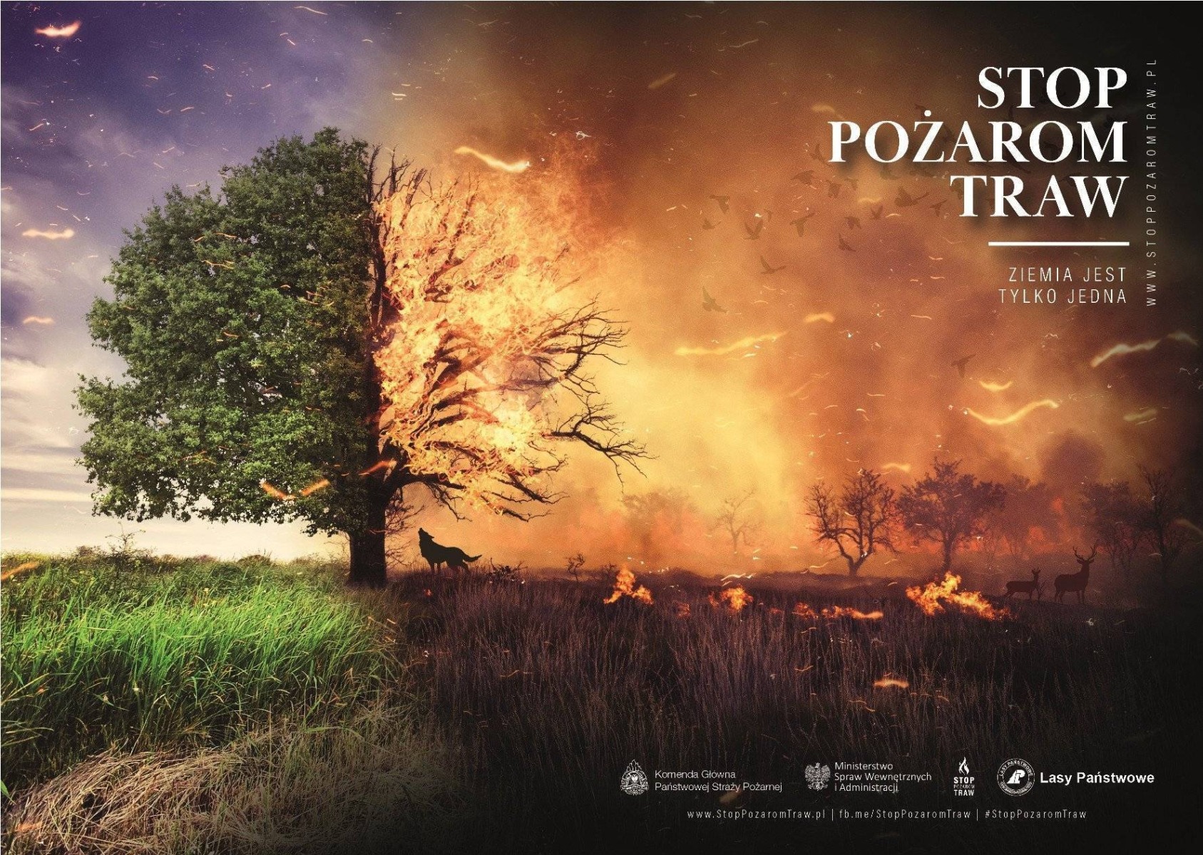 WYPALANIE TRAW I ŚCIERNISK SZKODZI I JEST KARALNE! Apel strażaków ochotników z terenu Gminy Zator.