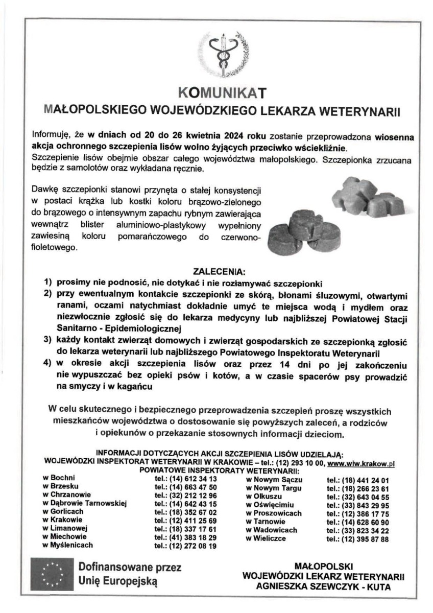 Wiosenna akcja ochronnego szczepienia lisów przeciwko wściekliźnie w dniach od 20 do 26 kwietnia 2024 roku - ZALECENIA