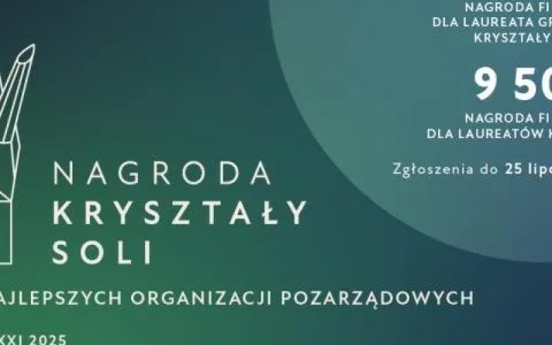 Kryształy Soli 2025 dla wyróżniających się organizacji pozarządowych