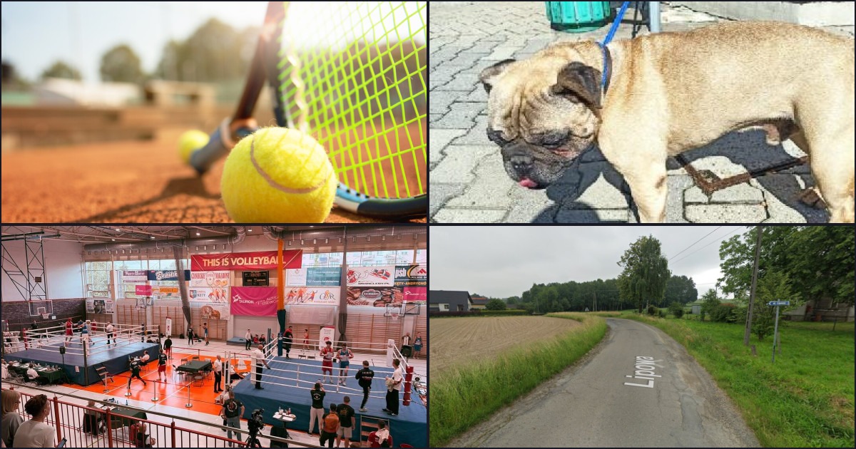 Poranne podsumowanie — 19 września 2026
