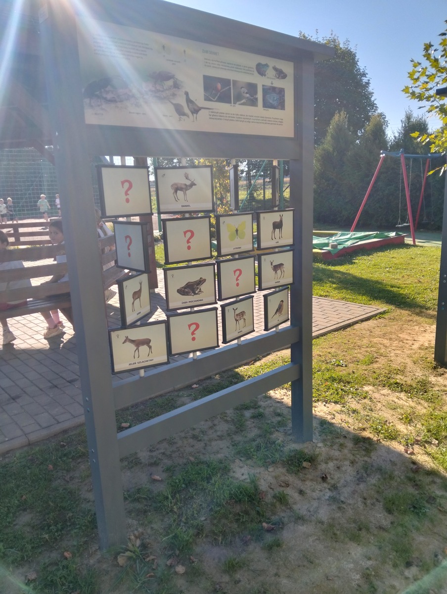 „Ekoprzestrzeń – Poznajemy Naturę”. Ekopiknik w Osieku