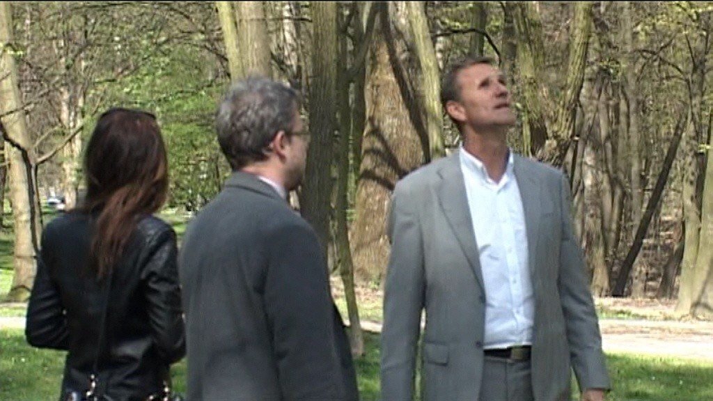 Starosta Zbigniew Starzec: Nie zgadzam się na rzeź drzew (WIDEO)