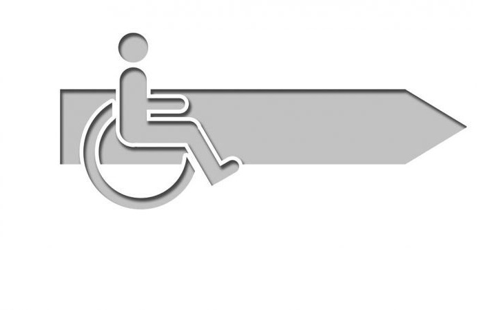 Dotacje. Rehabilitacja społeczna osób niepełnosprawnych