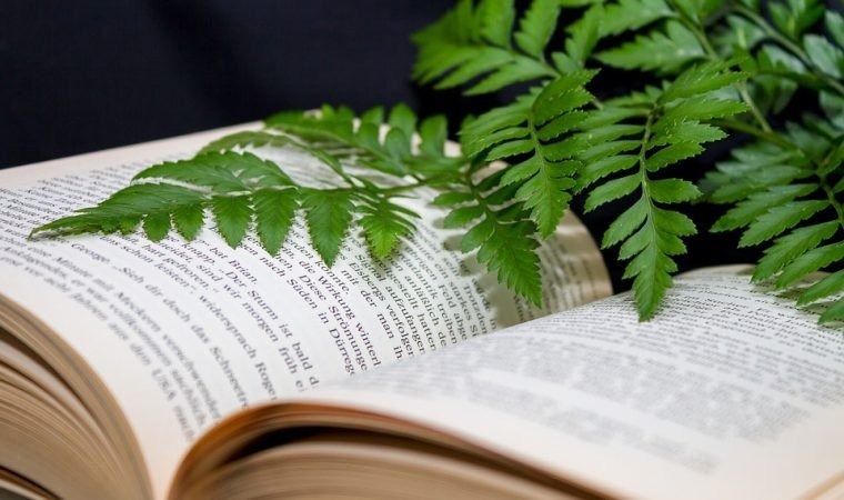 Zielone szkoły – edycja 2018