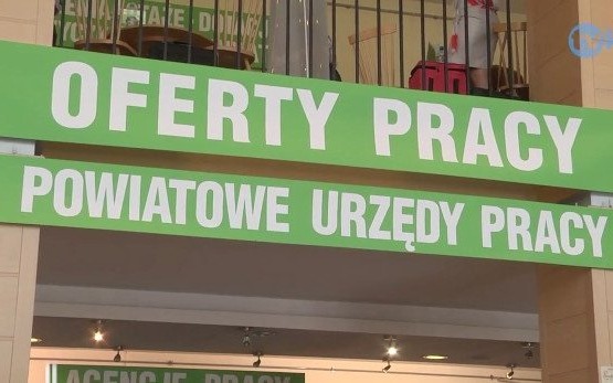 Powiatowe Targi Pracy [ZOBACZ FILM]