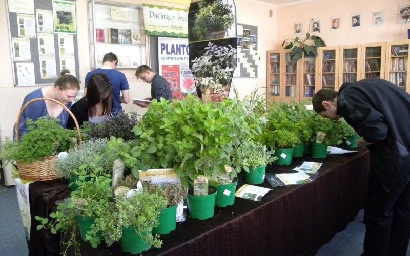 Pachnący Plantpol w Ekonomiku