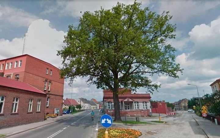 Zbliża się Święto Drzewa. Nie bądź obojętny, dołącz do akcji!