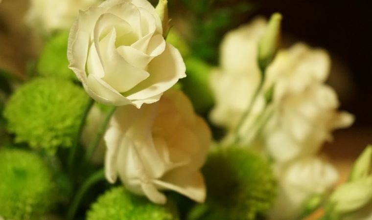 Dziś Dzień Pracownika Socjalnego. Życzenia od Zarządu Powiatu w Oświęcimiu