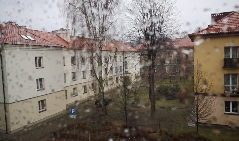 Silny wiatr hula po powiecie. Ostrzeżenie drugiego stopnia