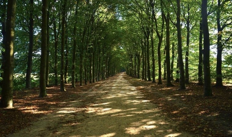 Parki, plaże i bulwary zamknięte dla ludzi. Kolejne obostrzenia w walce z koronawirusem