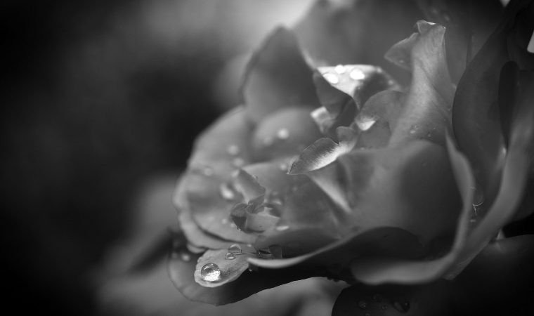 Ból, pamięć, pojednanie. 10. rocznica katastrofy smoleńskiej