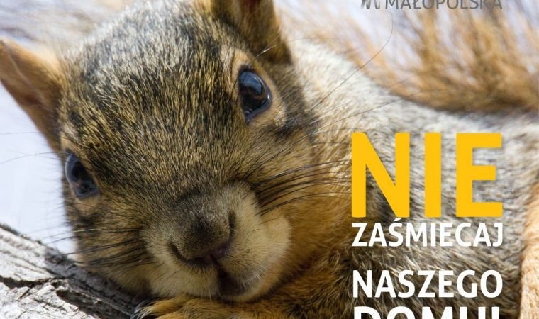Ryś, wydra i wiewiórka twarzami kampanii „Nie zaśmiecaj naszego domu”