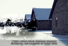 Koszmarny żywot dzieci za drutami KL Auschwitz-Birkenau