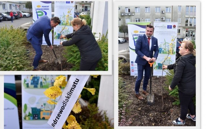 Kampania #drzewodlaklimatu łączy mieszkańców naszego powiatu