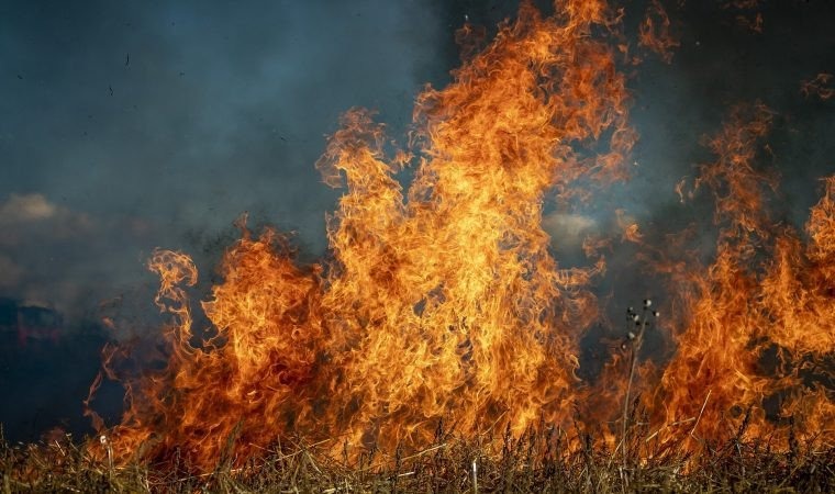 W zeszłym roku strażacy z naszego powiatu nie narzekali na brak pracy