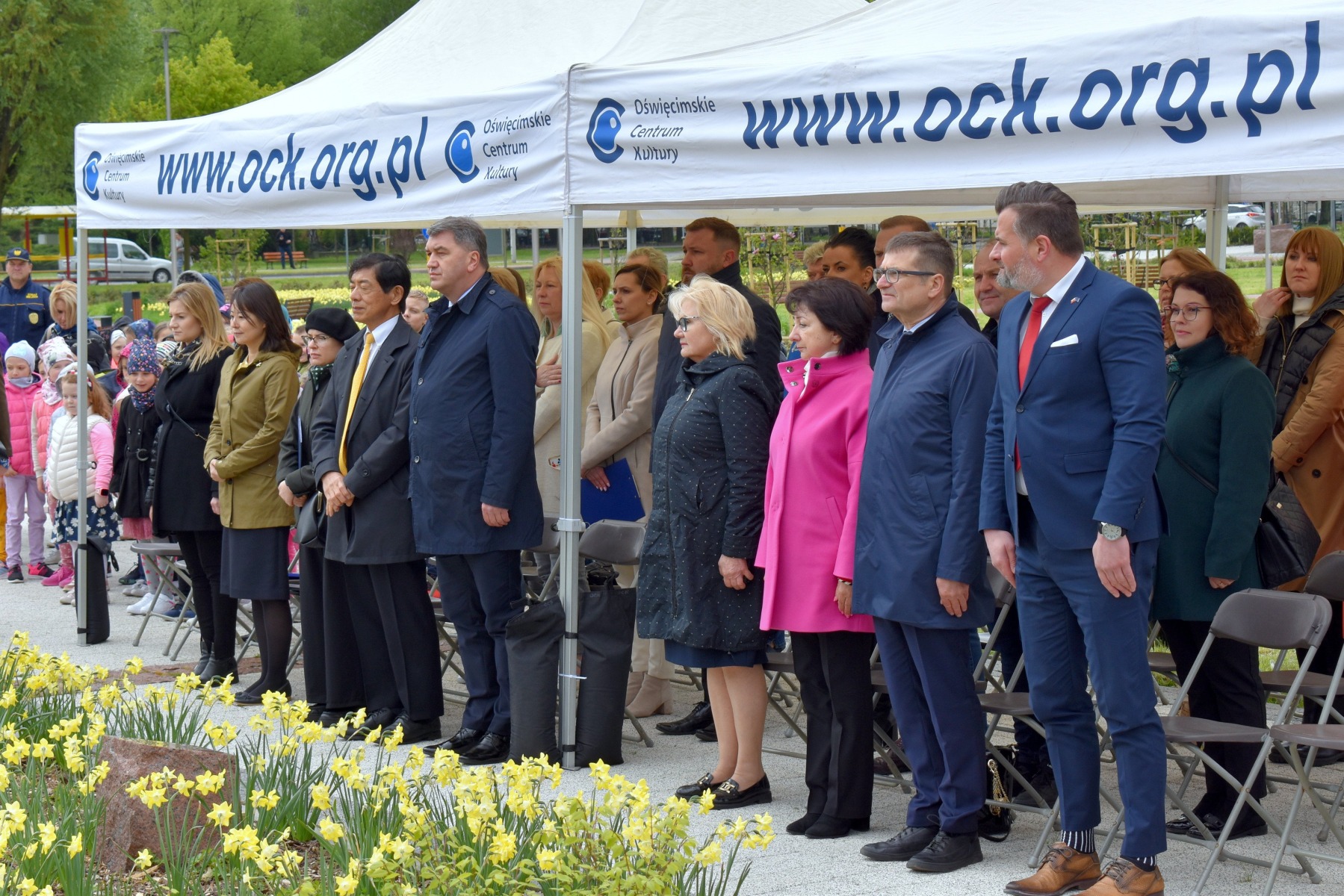 Miłorząb z Hiroszimy w Parku Zasole