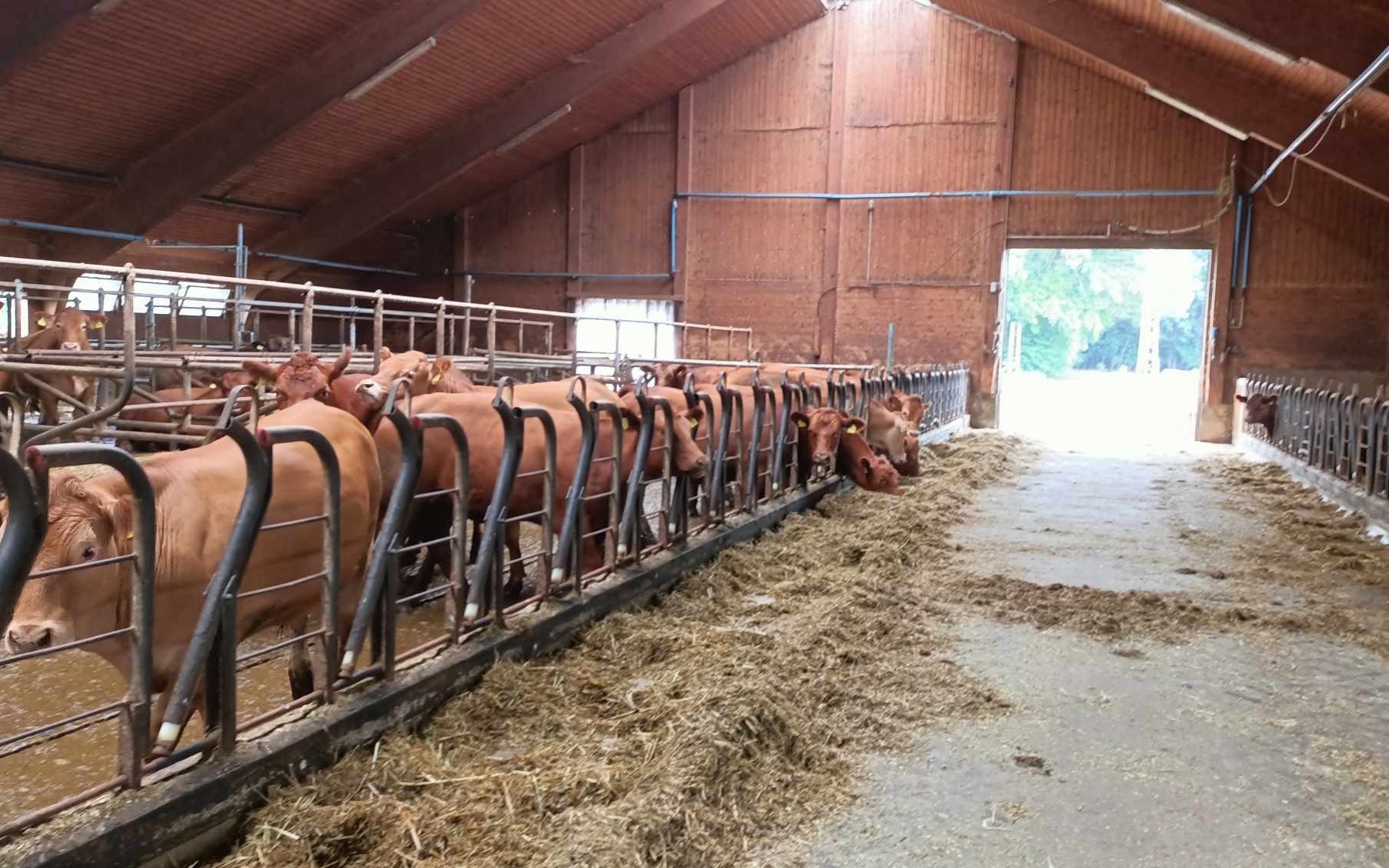 Słowa „Nigdy więcej” ciągle są aktualne