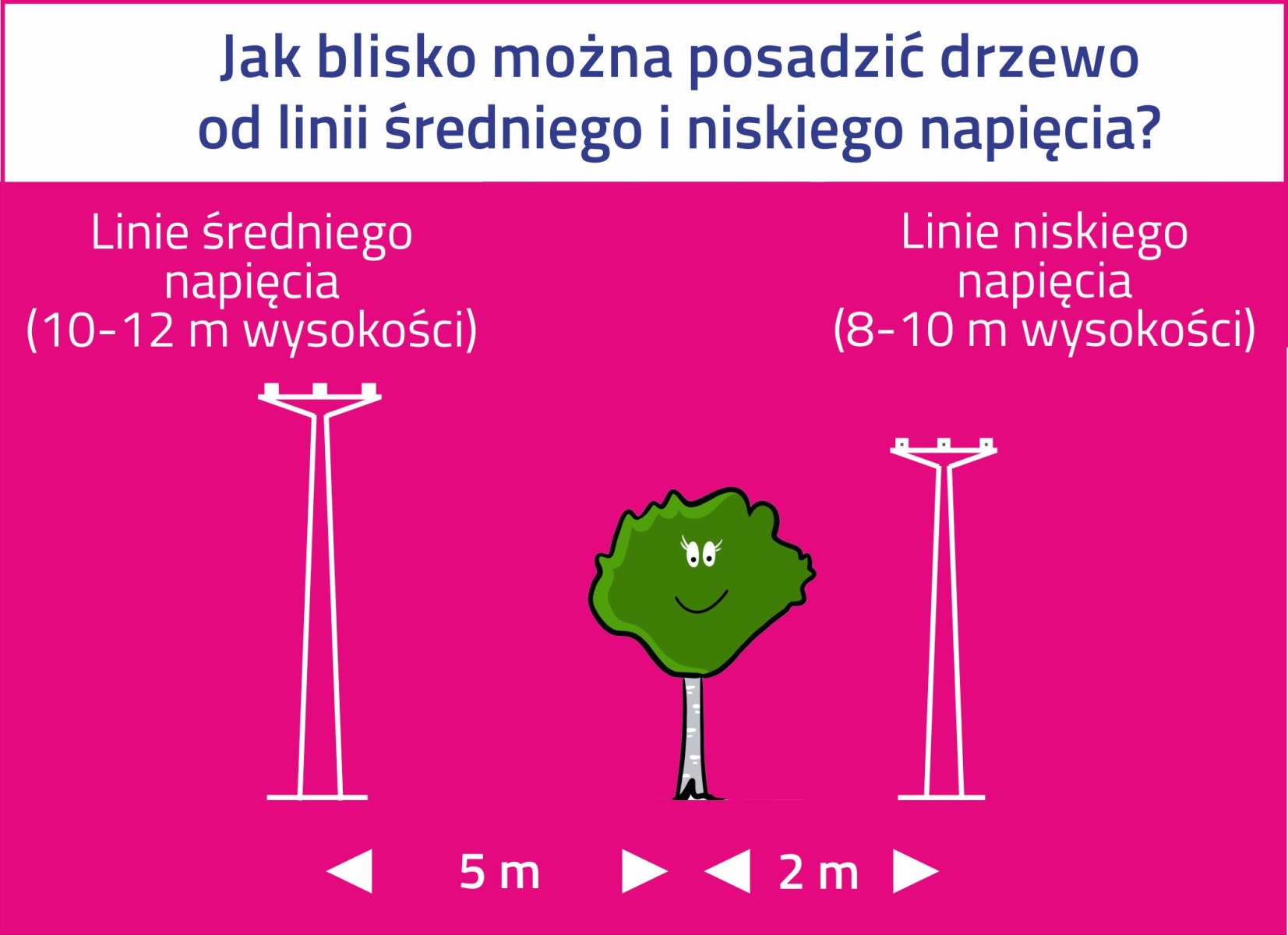 Drzewa pod liniami energetycznymi – czy należy je sadzić i jak o nie dbać?