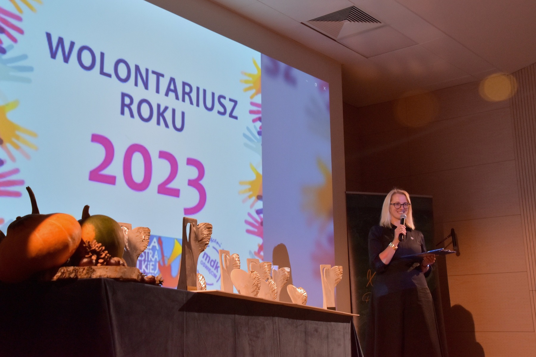 Wolontariusz Roku. Gala rozdania nagród (film)