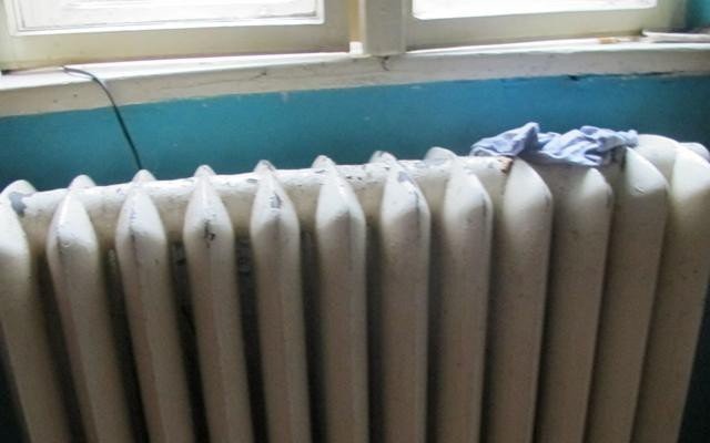 Chełmek - policjanci wyjaśniają skąd wzięła się rana na karku kota