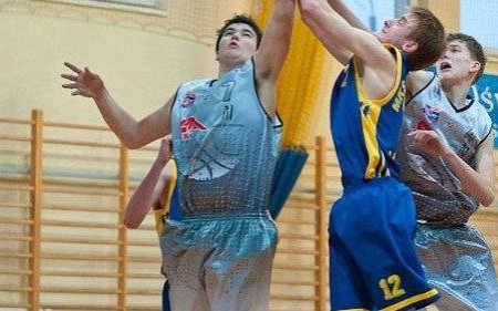 KOSZYKÓWKA. Niwa na podwójnym plusie