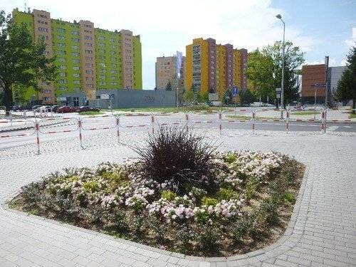 OŚWIĘCIM. Miasto w kwiatach. Ile kosztuje podlewanie?