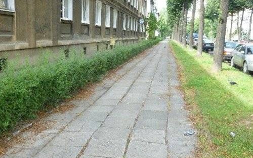 OŚWIĘCIM. Radny do rządzących: sprzątajcie Słowackiego