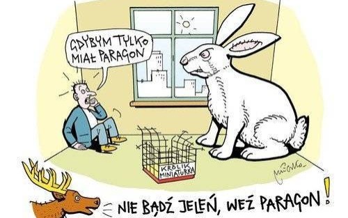 POWIAT. Liczba mandatów spadła. Podatek trafia do budżetu, nie do kieszeni oszustów - mówią pracownicy skarbówki