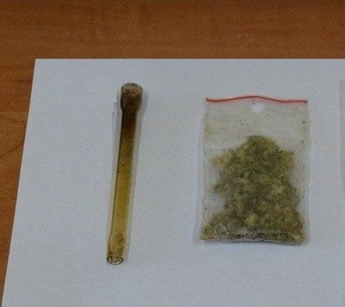 KĘTY. Żyją w cieniu kłusowników i zabójców