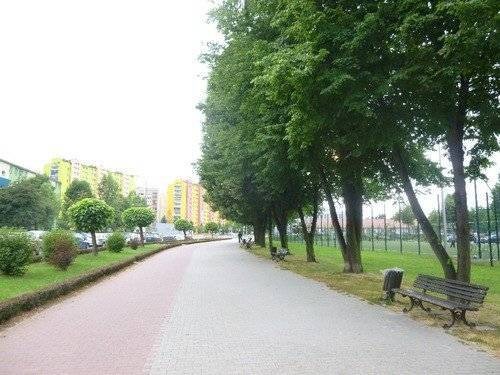 OŚWIĘCIM. Siedzieć na ławce może każdy