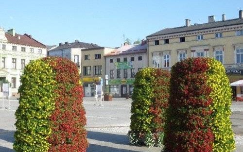OŚWIĘCIM. Kwiatowa wieża - ok. 7 tys. zł. Na rynku są cztery