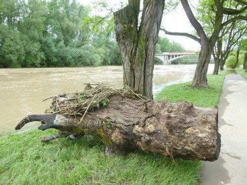 OŚWIĘCIM. Spacer po nieco zabłoconych bulwarach - ZDJĘCIA