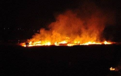 POWIAT. Strażacy do palących się traw wyjeżdżali 36 razy