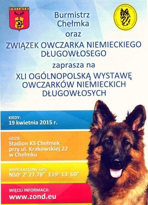 ZAPROSZENIE. Będzie można podziwiać owczarki niemieckie