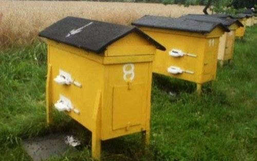 OSIEK. Skradziono trzy ule… wraz z pszczołami