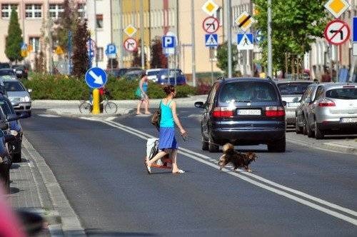 POWIAT. 17 mandatów dla pieszych w jednym dniu