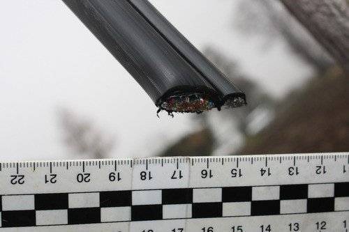 ZATOR. Skradziono przewody trakcji kolejowej