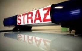 W SKRÓCIE. Strażacy walczyli z pożarem hali produkcyjnej