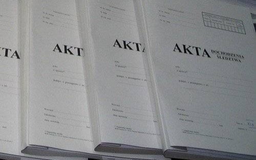 OŚWIĘCIM. Podejrzani o zagłodzenie kota usłyszeli zarzuty. Policja wytropiła ich w Poznaniu