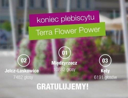 KĘTY. Trzecie najpiękniej ukwiecone miasto w kraju. Tak zdecydowali głosujący w konkursie Terra Flower Power