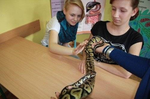 OŚWIĘCIM. Strach ma wielkie oczy, czyli lekcje z udziałem niecodziennych gości