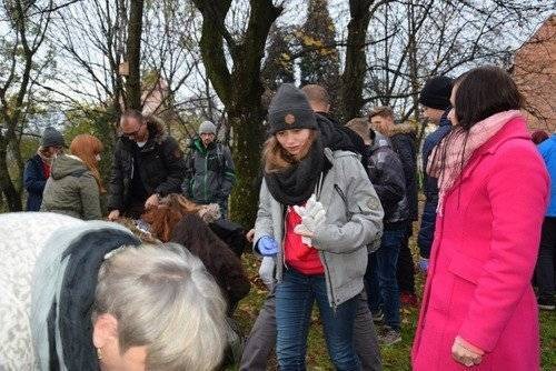 OŚWIĘCIM. Żółte krokusy upamiętnią najmłodsze ofiary niemieckiego obłędu