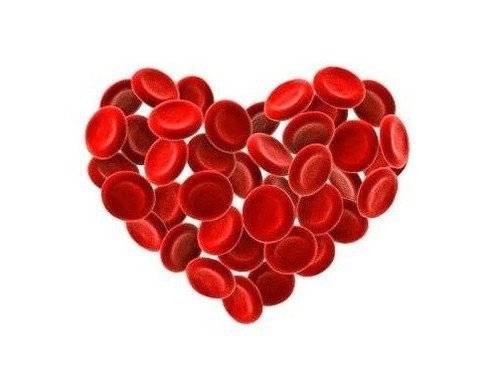 NOWA WIEŚ. Krew się poleje w... salkach katechetycznych