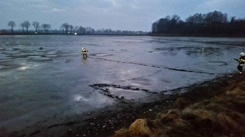 GROJEC – OSIEK. Pies ugrzązł w błocie. Z odsieczą przyszli strażacy - ZDJĘCIA