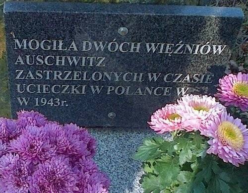 HISTORIA. Nagrobek dwóch więźniów KL Auschwitz w Polance Wielkiej. Uciekli, ale dopadły ich niemieckie kule