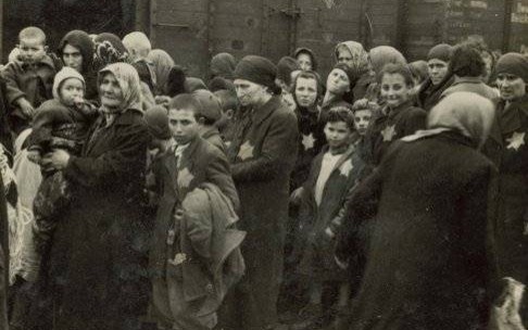 MUZEUM AUSCHWITZ. Od mowy nienawiści do zbrodniczych czynów