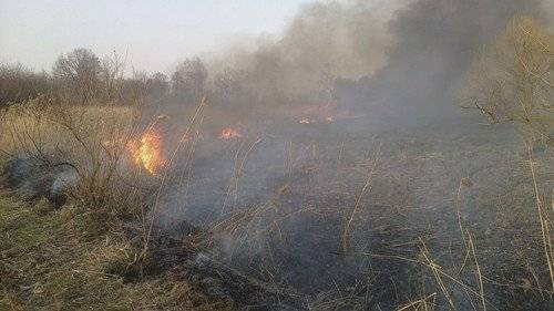 OŚWIĘCIM. Wieści z Ratusza - FILM