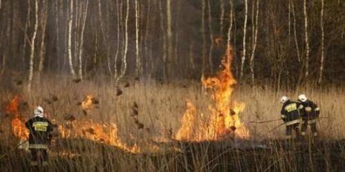 OŚWIĘCIM. Podpalał łąkę. Zauważyli go policjanci