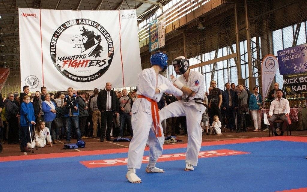 MMA-KARATE-KICKBOXING. Oświęcimianie klasą dla siebie