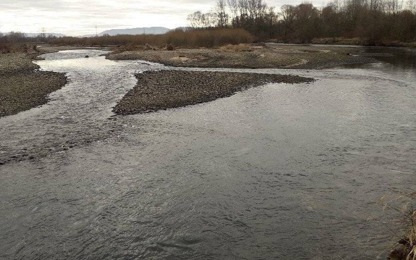 SKIDZIŃ. Znaleziono zwłoki poszukiwanej 40-latki